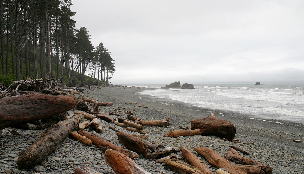 View Up the Beach