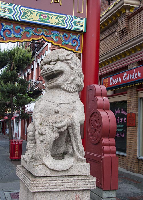 A Chinese Lion