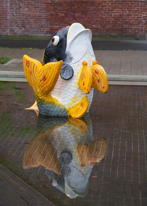 Fish in the Fountain