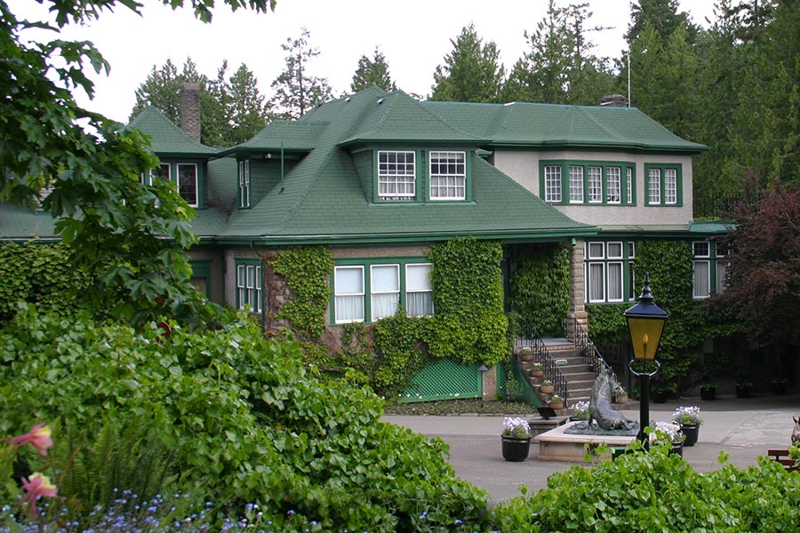 Ivy-Covered House