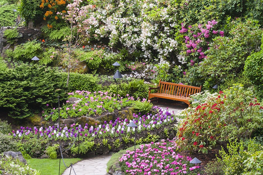 Bench Along the Garden Path