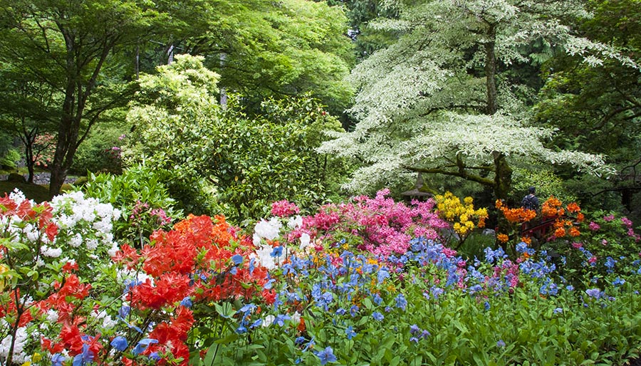 Border Heading into Japanese Gardens