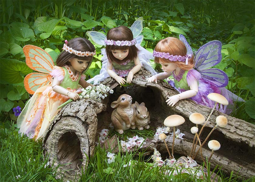 the Hollow Log