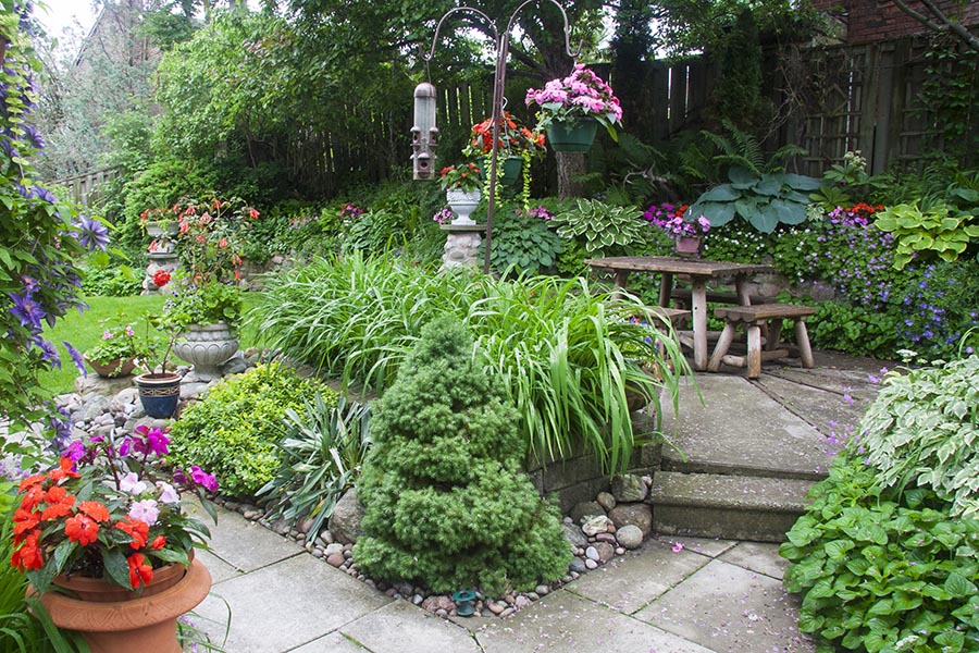 the Patio and Back Garden