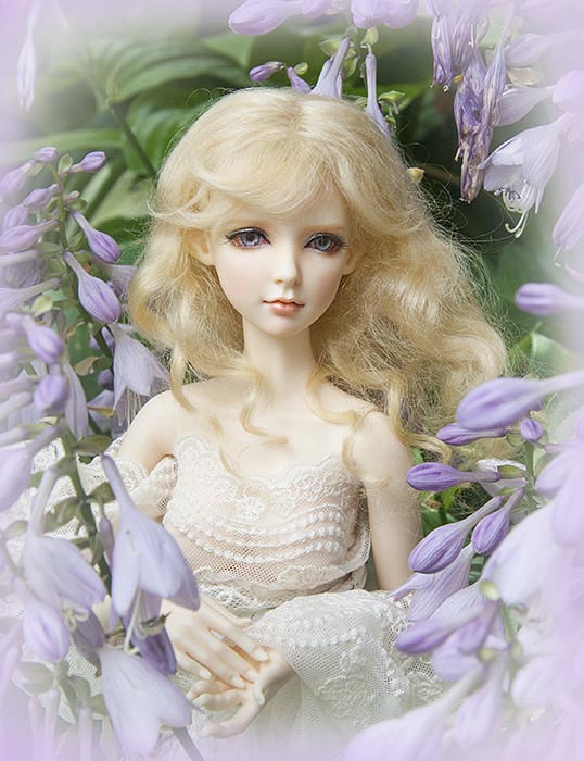 Lily   