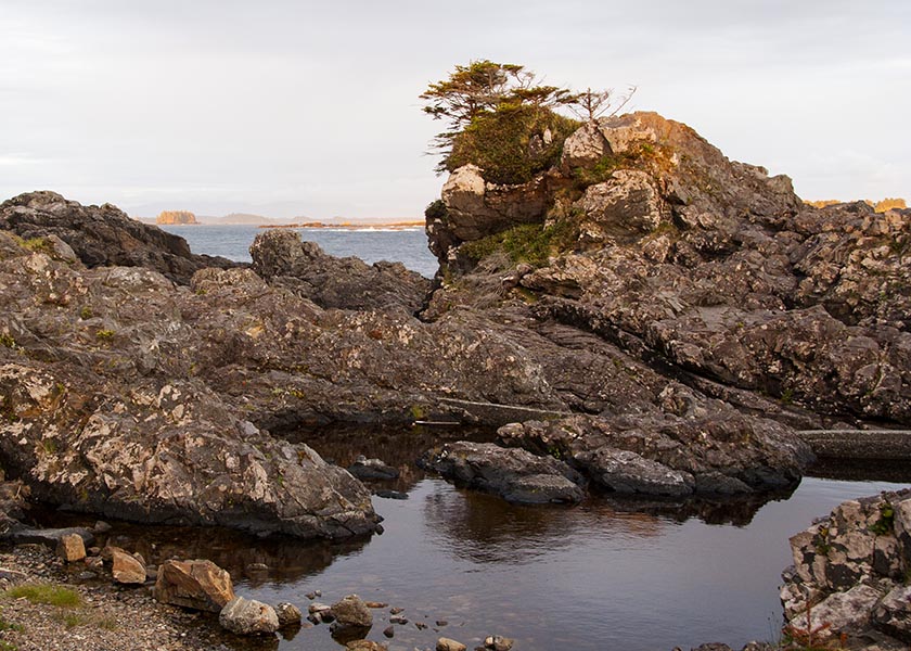 Rugged Coast, Pacific Trail, Uclulet