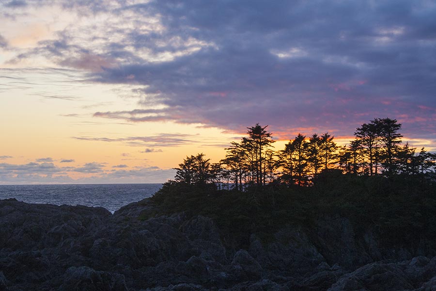 Sunset, along Pacific Trail