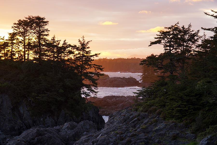 Sunset, along Pacific Trail