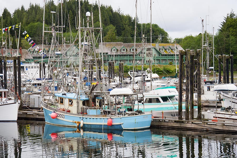 Uclulet Harbour