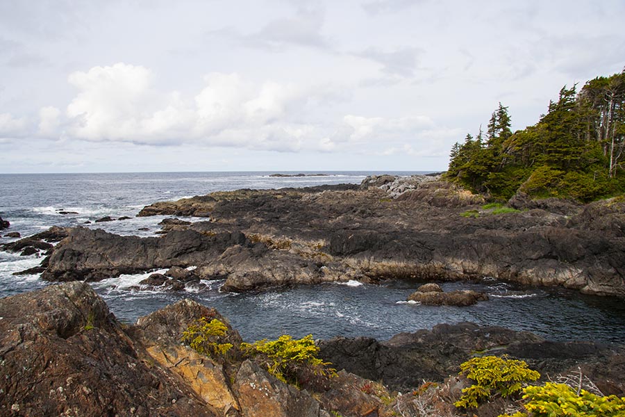 Another Coastal View