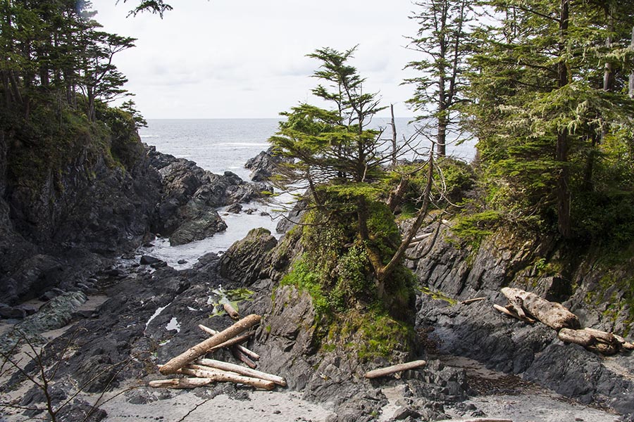 Rugged Shoreline