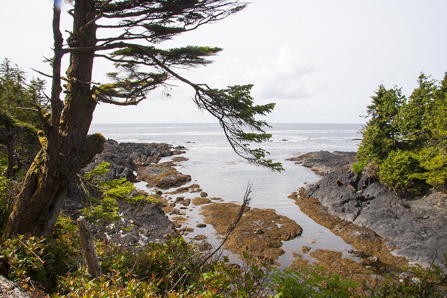 View Down from the Trail