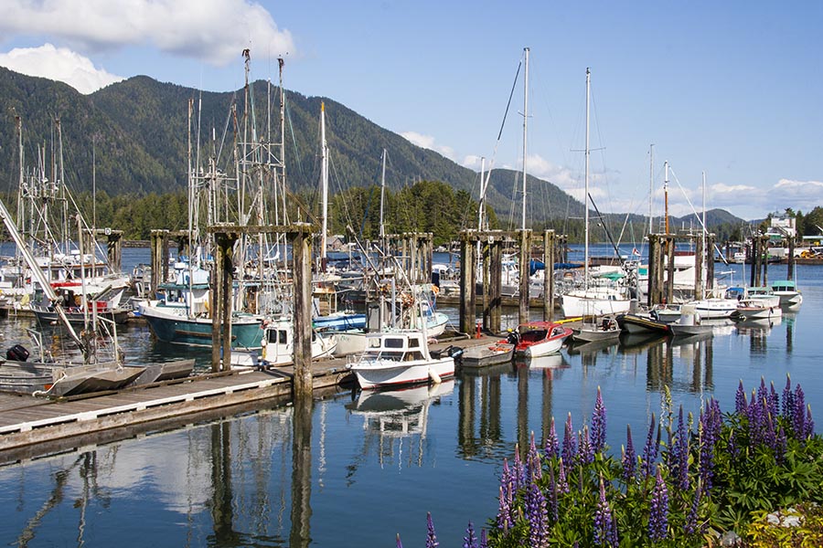 Tofino Harbour