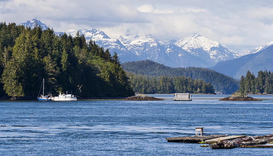 Distant Snow-Covered Mountains