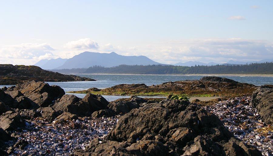 Rocky Shore