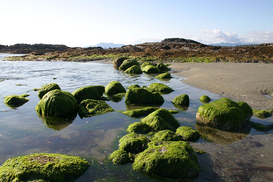 Green Boulders