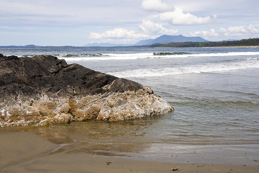 Incoming Tide