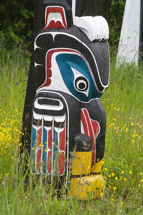 Raven with Bent Beak