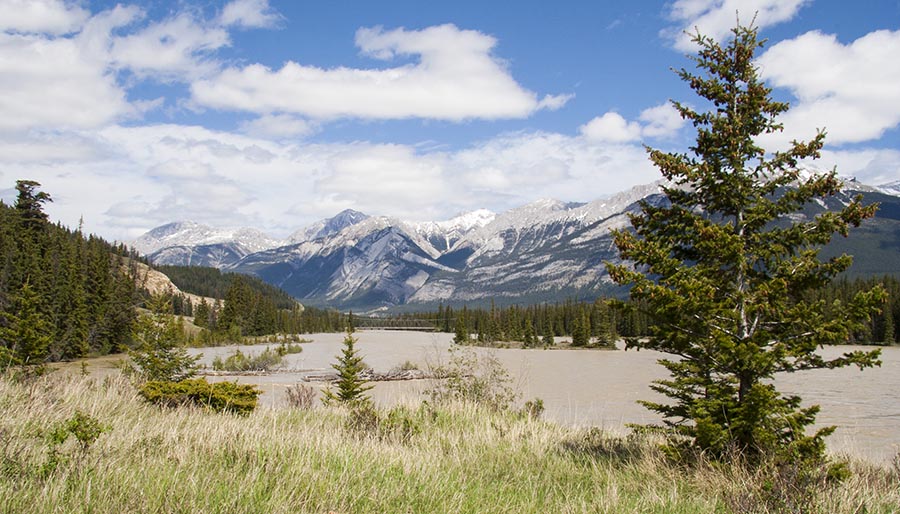 the Jasper River