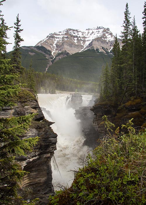 Athabasca Falls