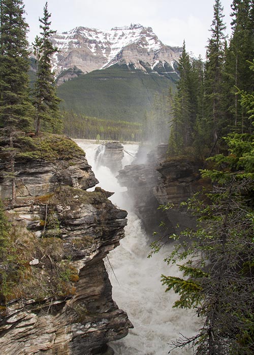 Last Look at Athabasca Falls