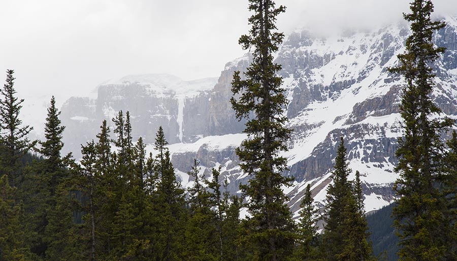 It's Snowing on the Mountain Tops