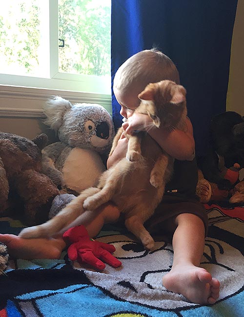 Loving the New Kitty