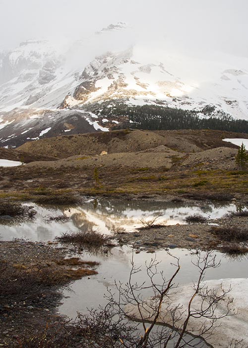 Reflections in the Puddles