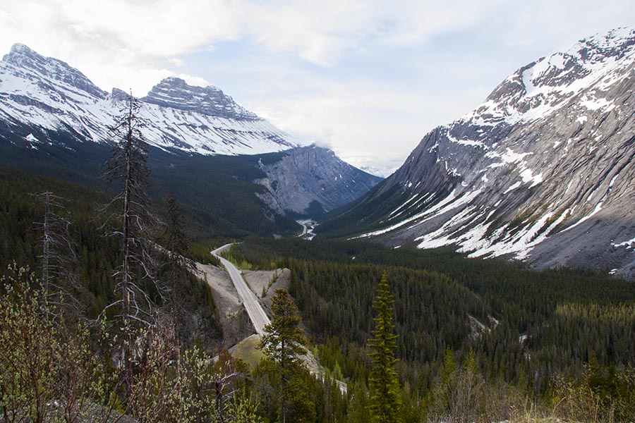 the Icefields Parkway South into Banff