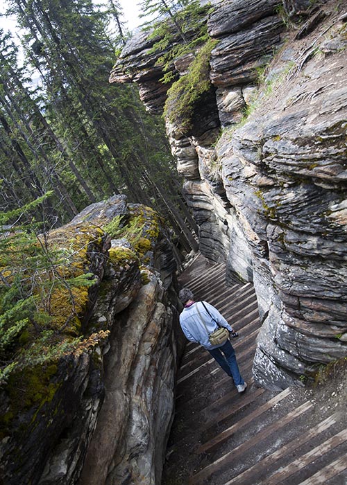 the Trail down to the River Below the Falls