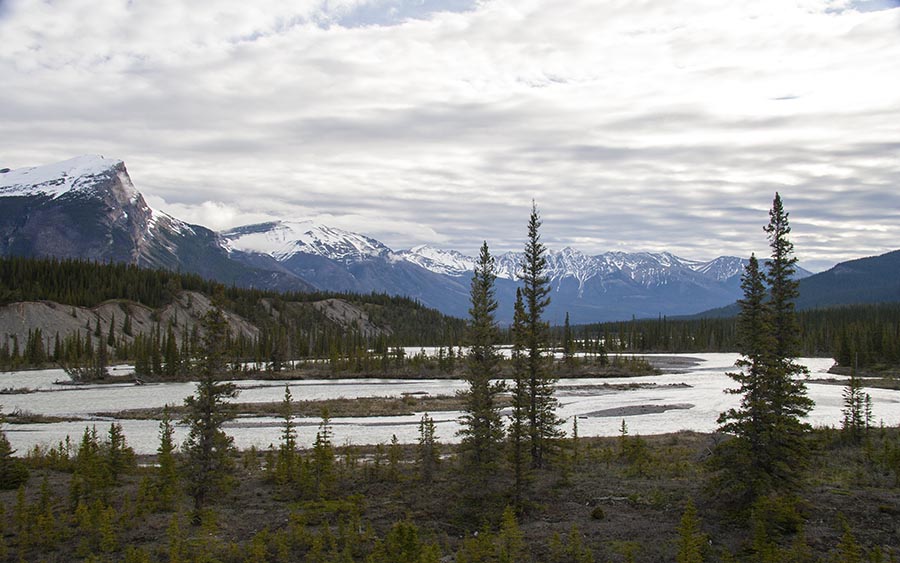 the Saskatchewan River