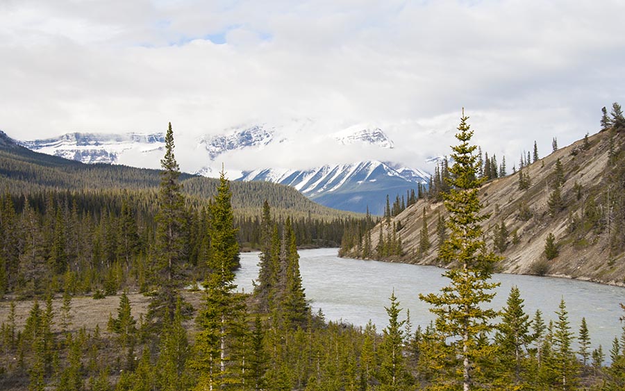 Looking Back Up the Saskatchewan River