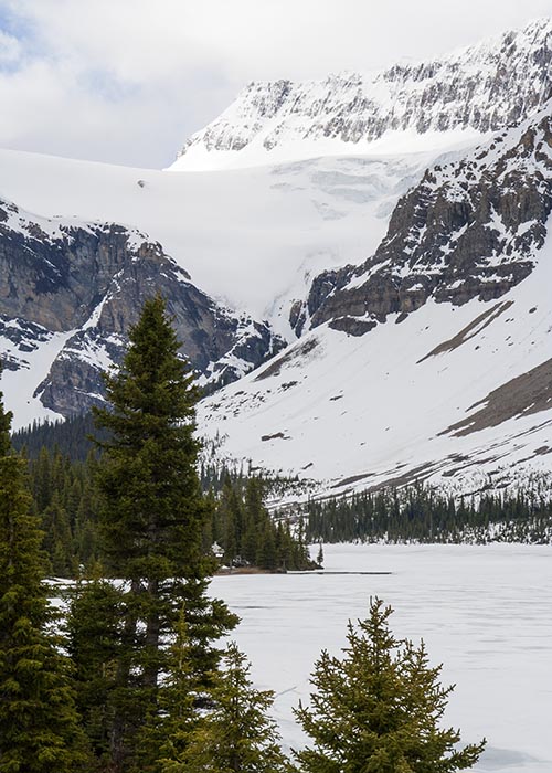 Crowfoot Glacier