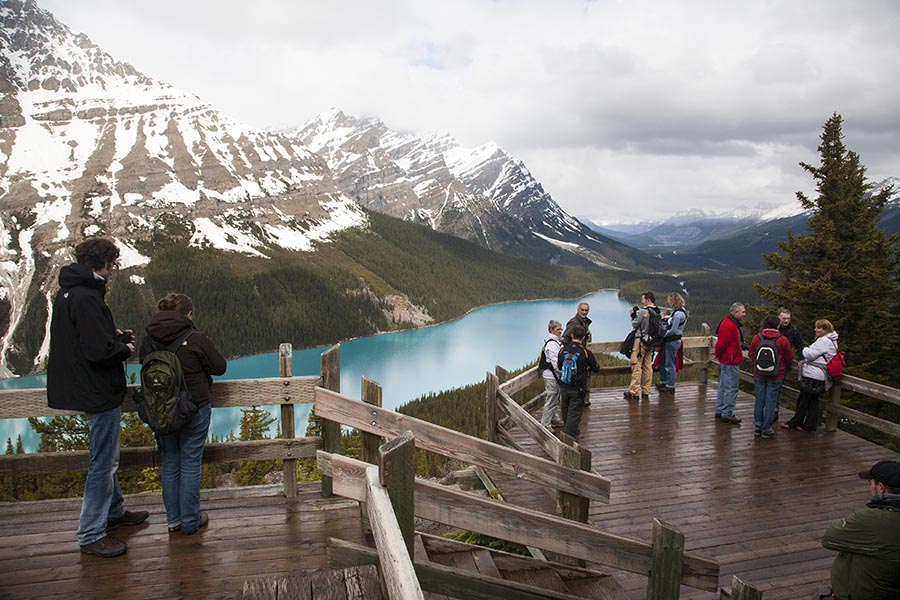 the Peyto Lake Overlook