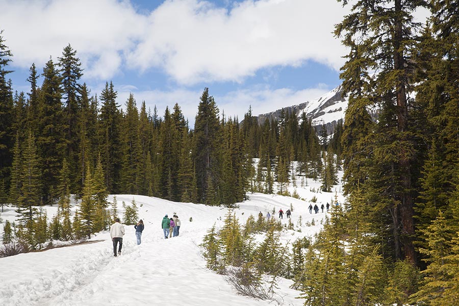 Hiking Back Down to the Parking Lot