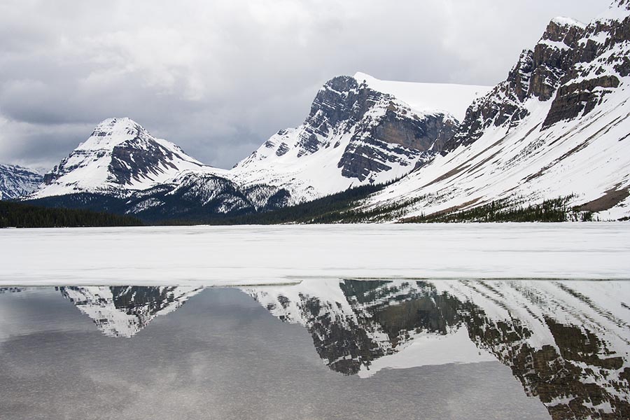 Back at Bow Lake