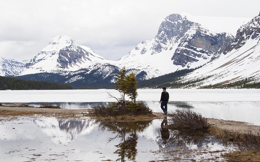 Mikey Exploring the Shore of Bow Lake