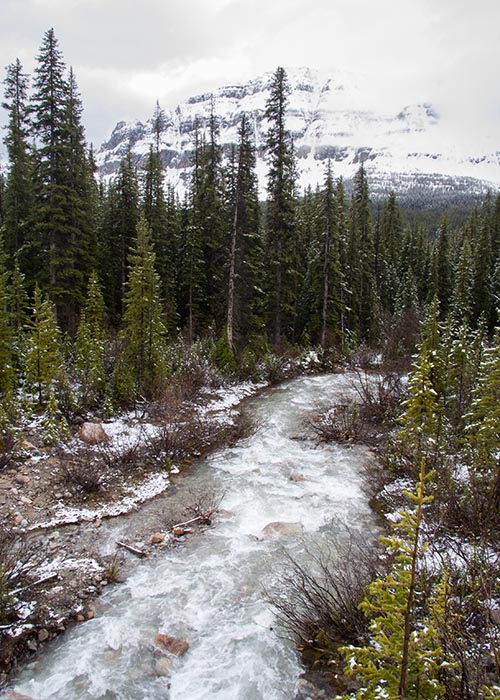 Cascading Brook