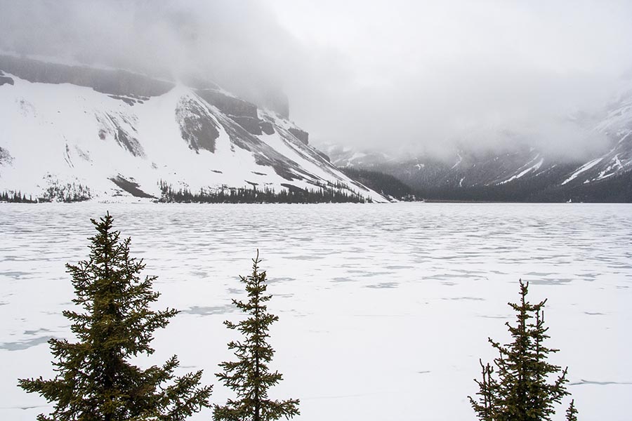 Bow Lake