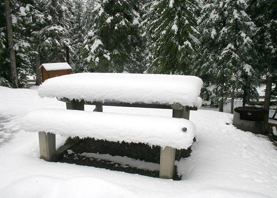 Picnic Table Buried in Snow