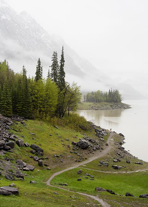 Trail Down to the Lake