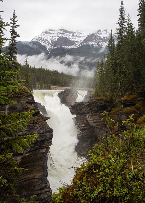 Athabasca Falls