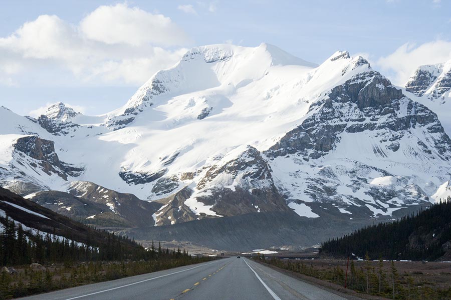 Mount Athabasca Looming Ahead