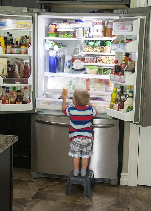 Little Cheese Monster