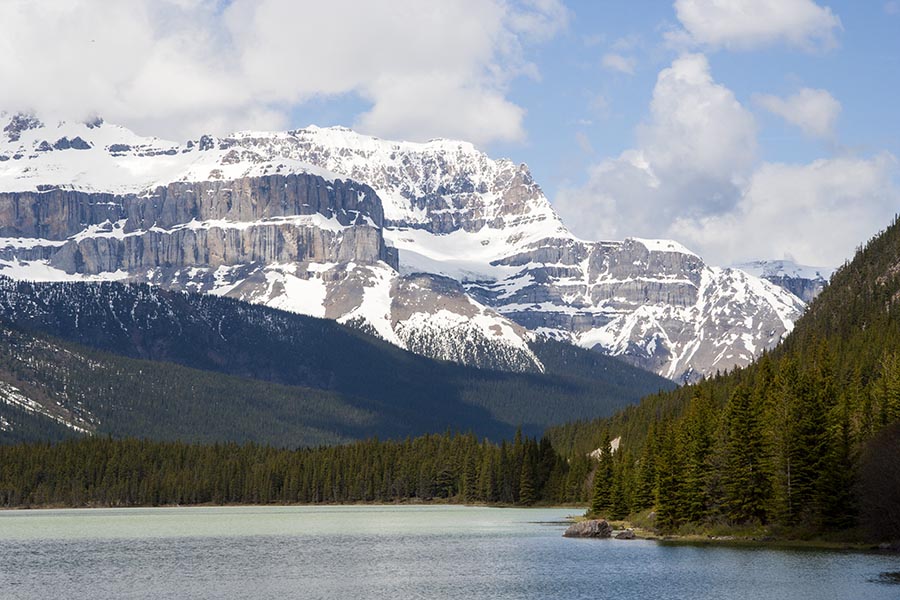 Waterfowl Lake