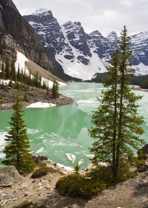 Moraine Lake in Sunshine