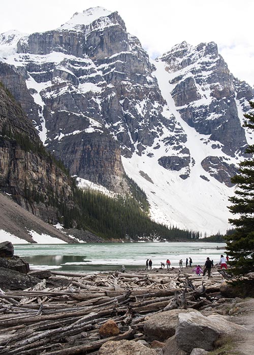 Exploring the Shore of Moraine Lake