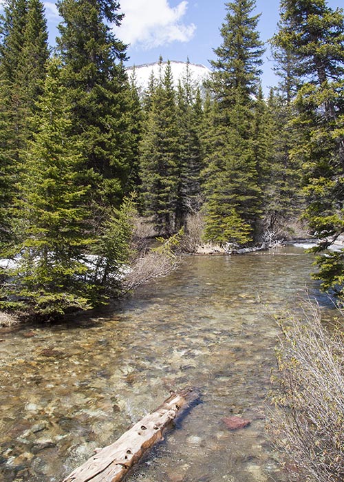 Mountain Stream Flowing Into Lake