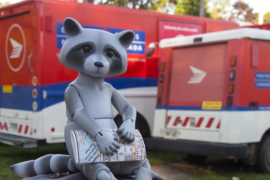 Smuzhka Raccoon Arives