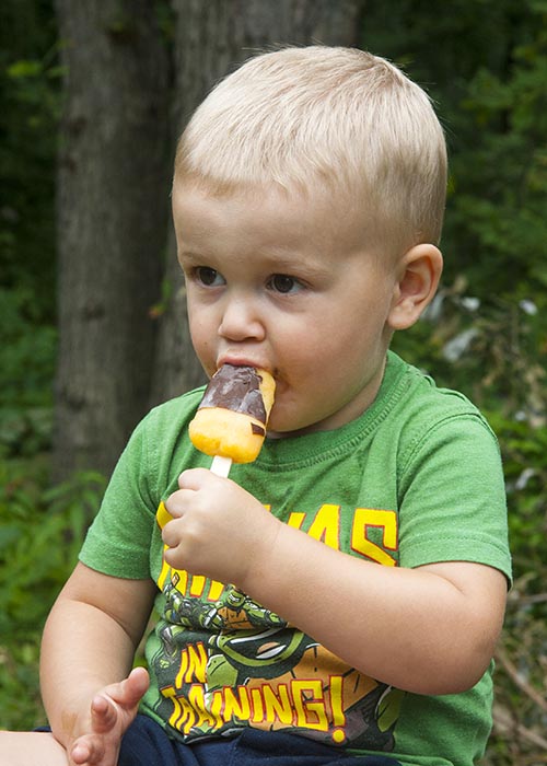 Popsicle Monster